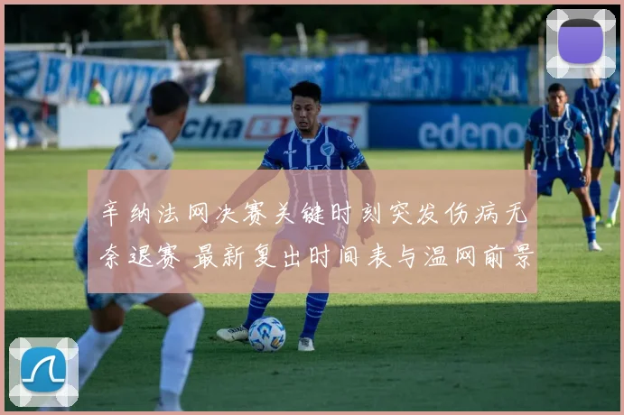 辛纳法网决赛关键时刻突发伤病无奈退赛 最新复出时间表与温网前景全面深度解析