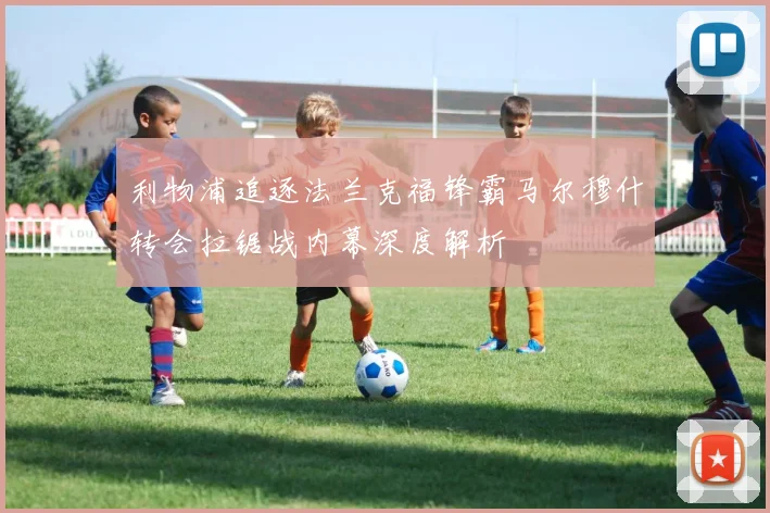 利物浦追逐法兰克福锋霸马尔穆什转会拉锯战内幕深度解析