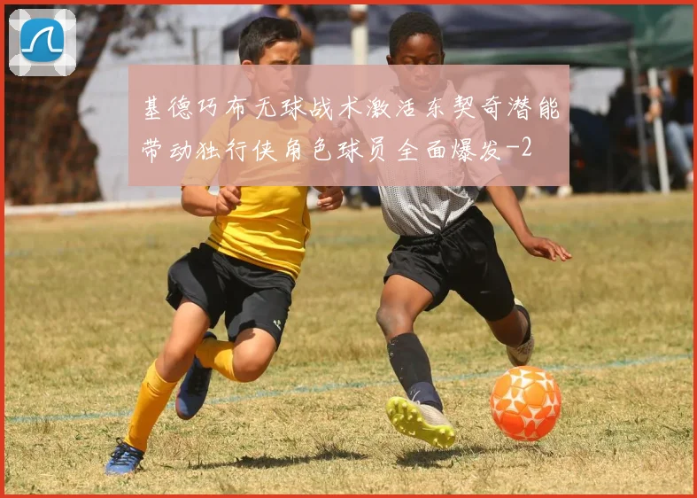 基德巧布无球战术激活东契奇潜能带动独行侠角色球员全面爆发
