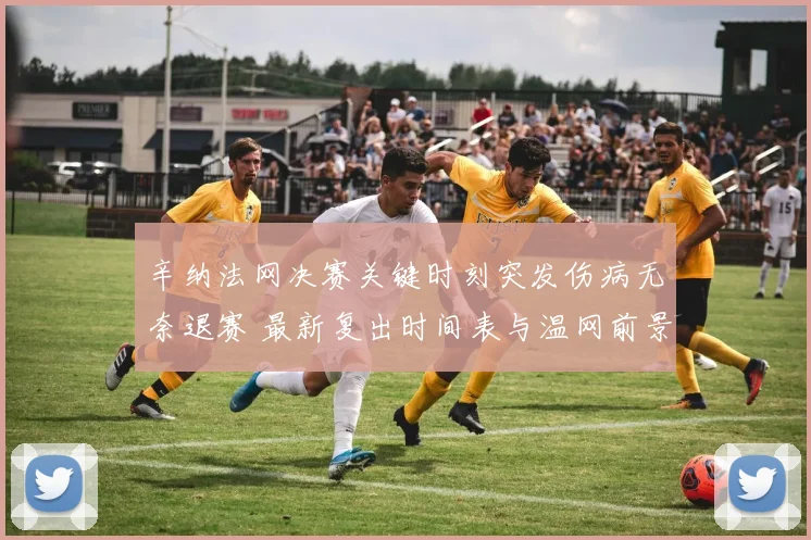 辛纳法网决赛关键时刻突发伤病无奈退赛 最新复出时间表与温网前景全面深度解析